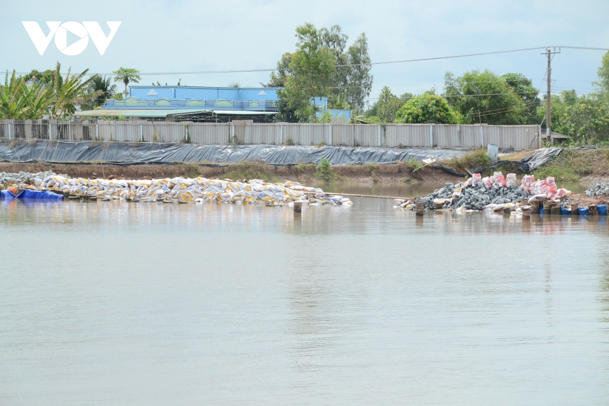 Cù lao Tân Phú Đông – miền sông nước mát lành giữa lòng Đồng Tháp