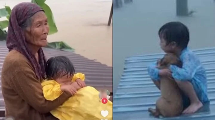 Dùng AI tạo ảnh giả về lũ miền Trung để câu view: Sự vô cảm cần phải bị lên án