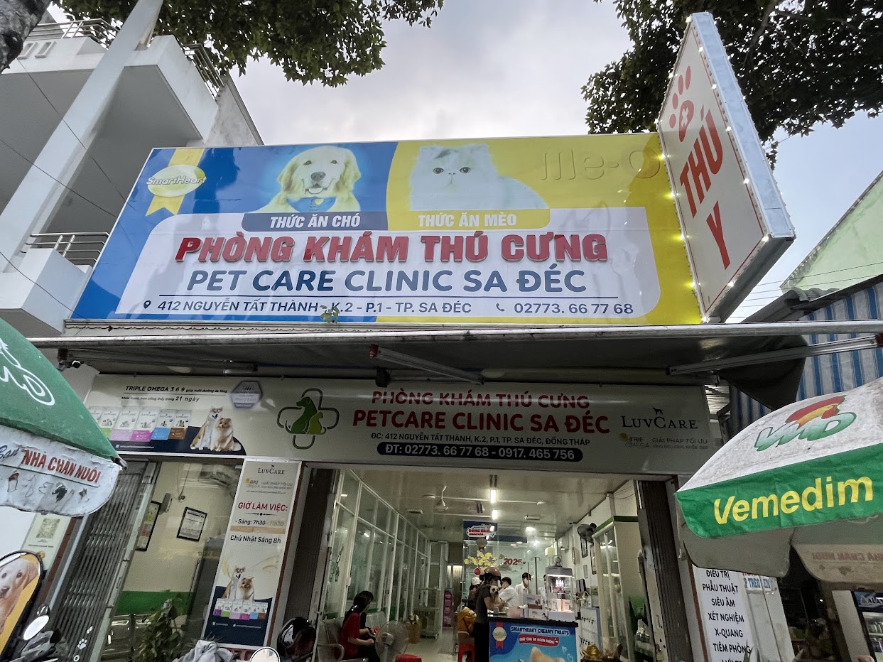 Hành trình chăm sóc thú cưng trọn vẹn bắt đầu tại Petcare Sa Đéc
