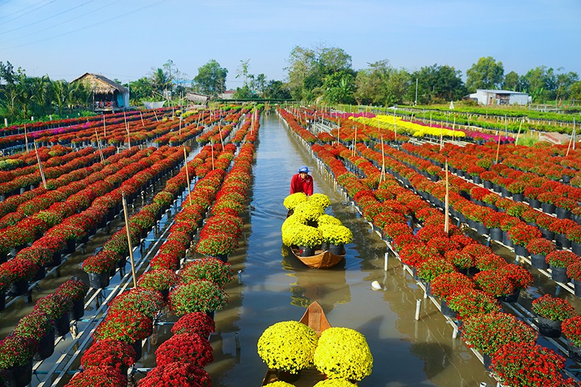 Nếu cánh là cơ hội, thì đâu là độ cao để không rơi?