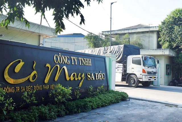 Cỏ May Sa Đec - biểu tượng tự hào của đất Sen Hồng